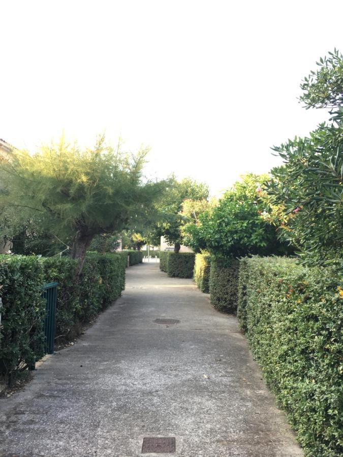 Cosy Lagune Saint-Cyprien  Exterior photo