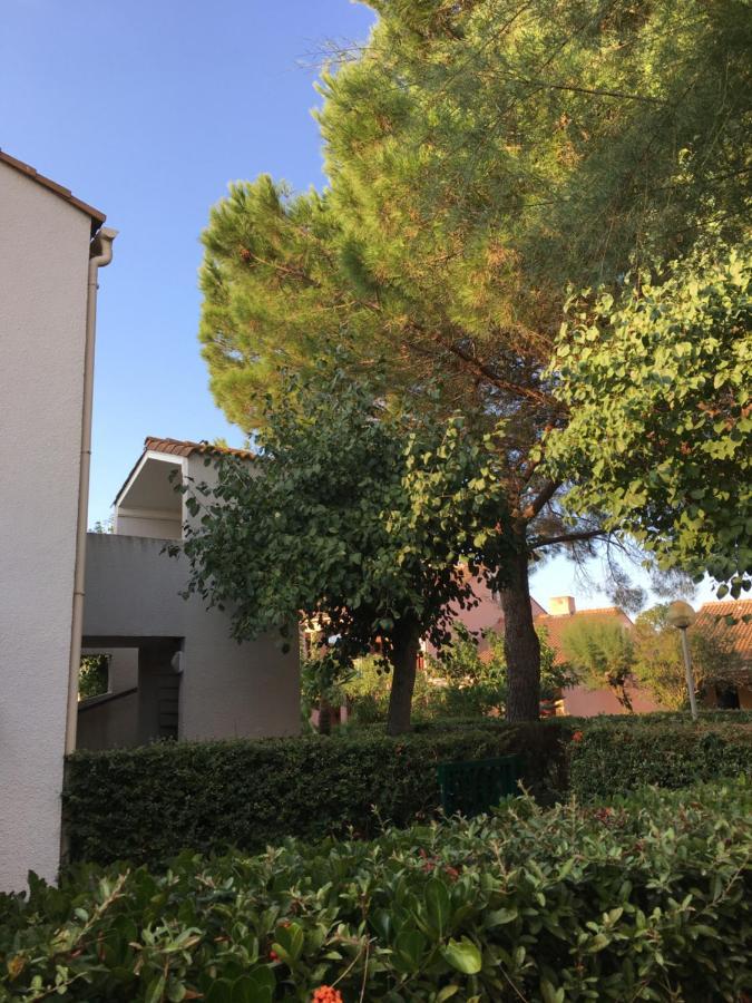 Cosy Lagune Saint-Cyprien  Exterior photo